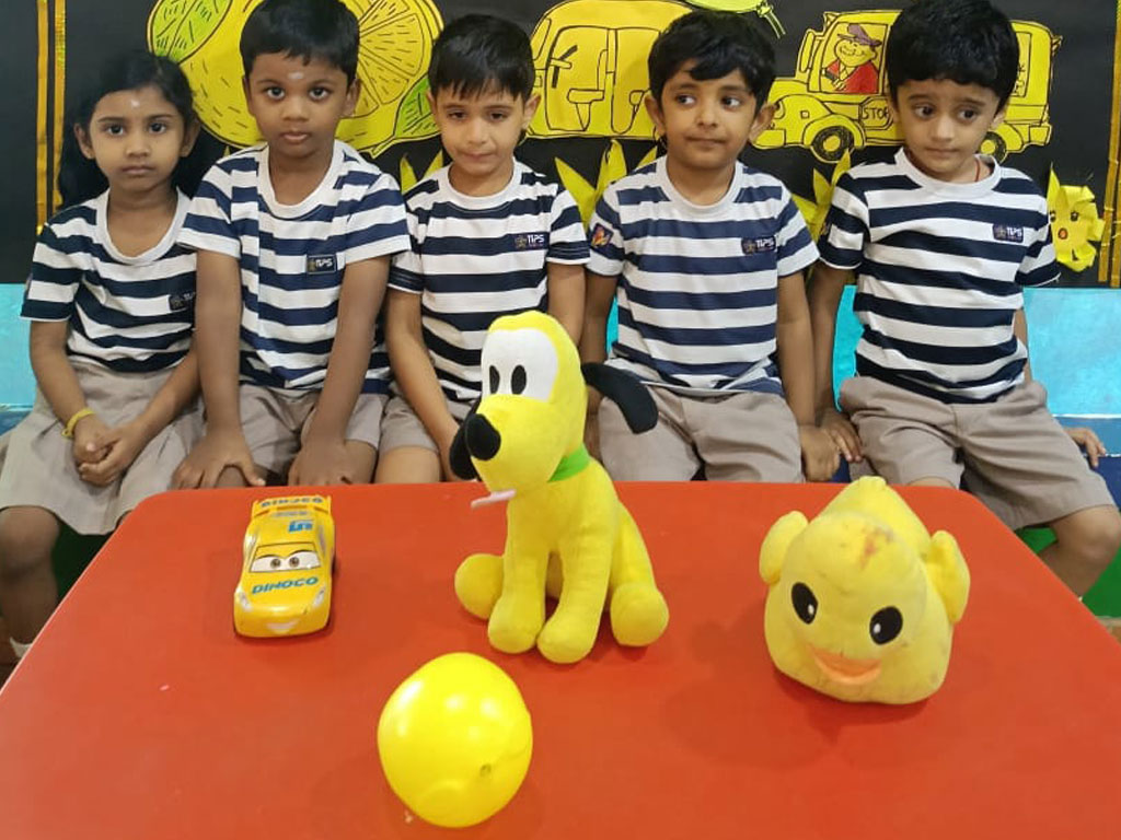 Osion Chlorophyll Gallery 3